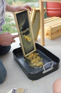 Cutting the comb off the frames