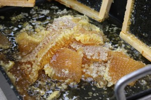 Golden honey comb